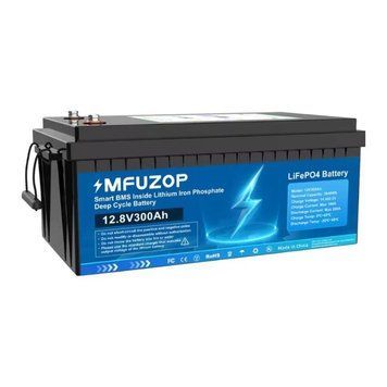 Акумулятор MFUZOP LiFePO4 12,8 V 300 Ah 2912969656 фото