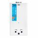 Колонка газова димохідна 10 л White JSD20-10CR Thermo Alliance JSD2010CRWHITE фото 1